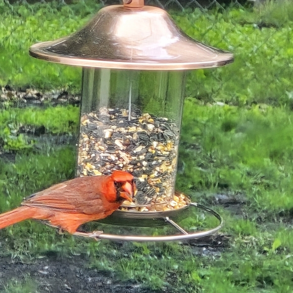 Meet your Posher, Tammy - Picture 3 of 3